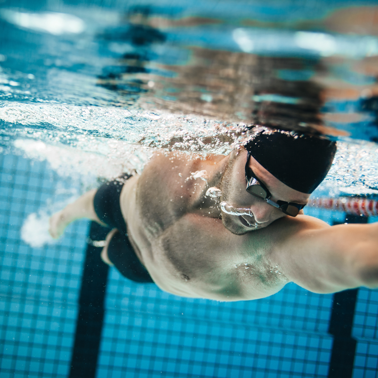 Mehrfachkarten lorem ispum dolor longus titelum