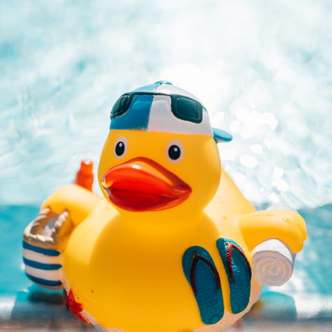 Jahreskartenverlängerung